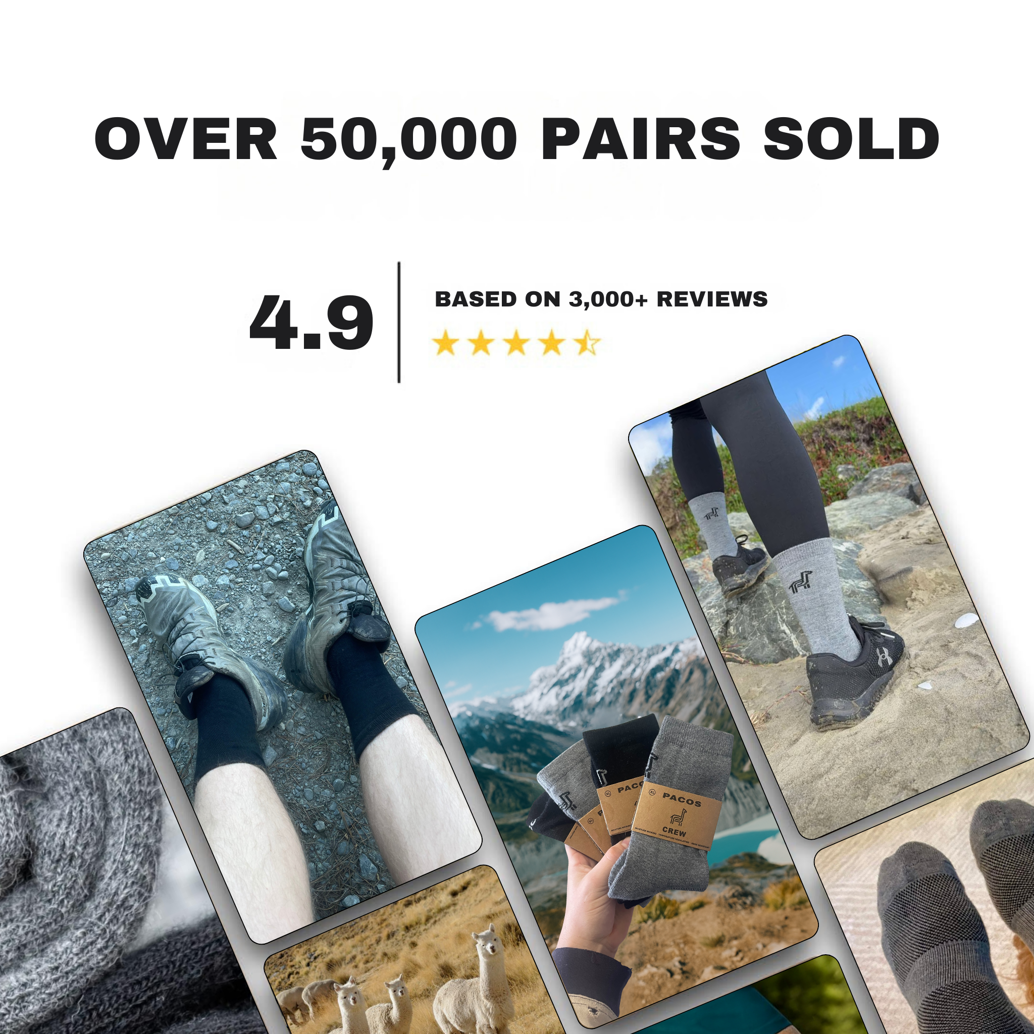 Quarter Socks